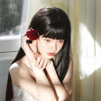 与鲨鱼游弋